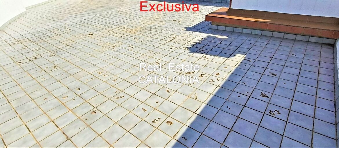 IMG20260825103028